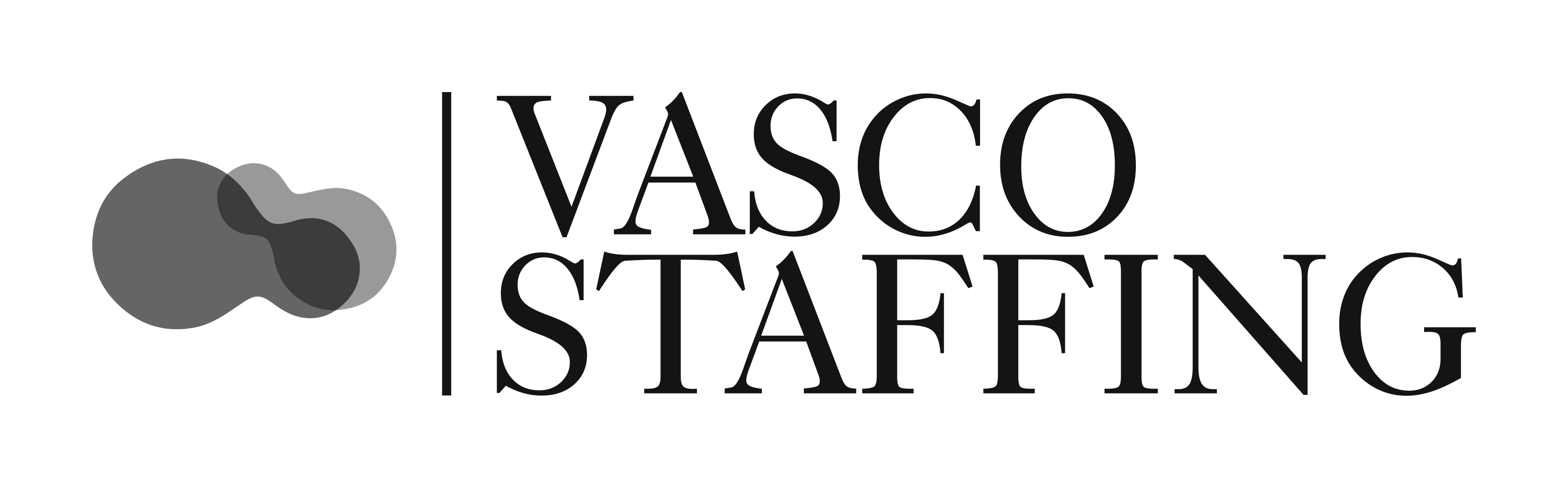 vascostaffing